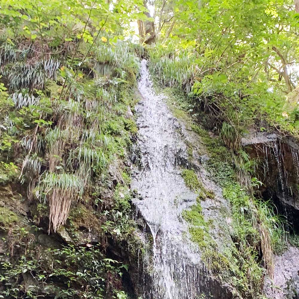 飯盛農産|パッケージ制作